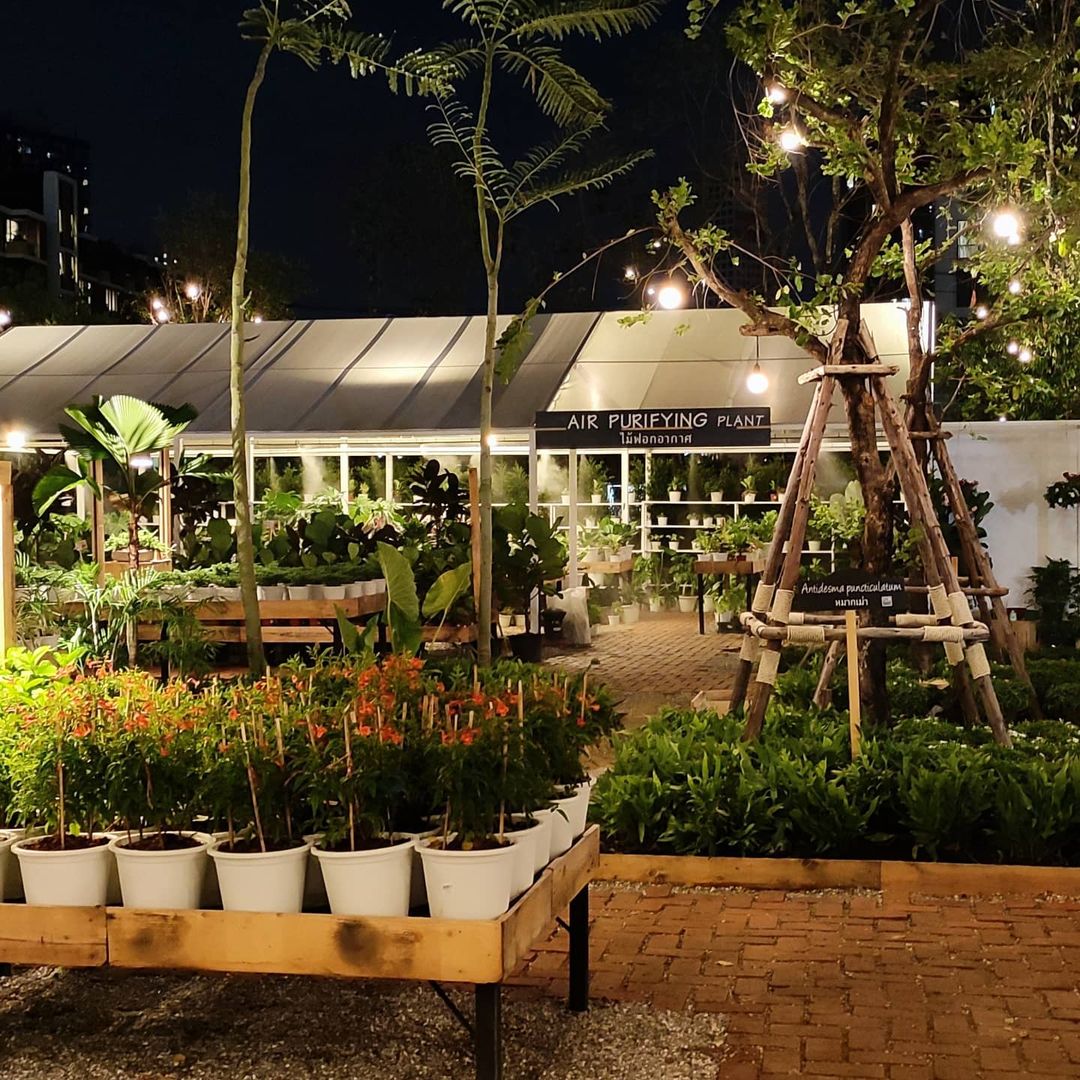 เก๋ๆ กรีนๆ "Pong Yo" ร้านต้นไม้ที่จะทำให้สายกรีนรู้สึกแตกต่างไปจากบรรยากาศเดิม