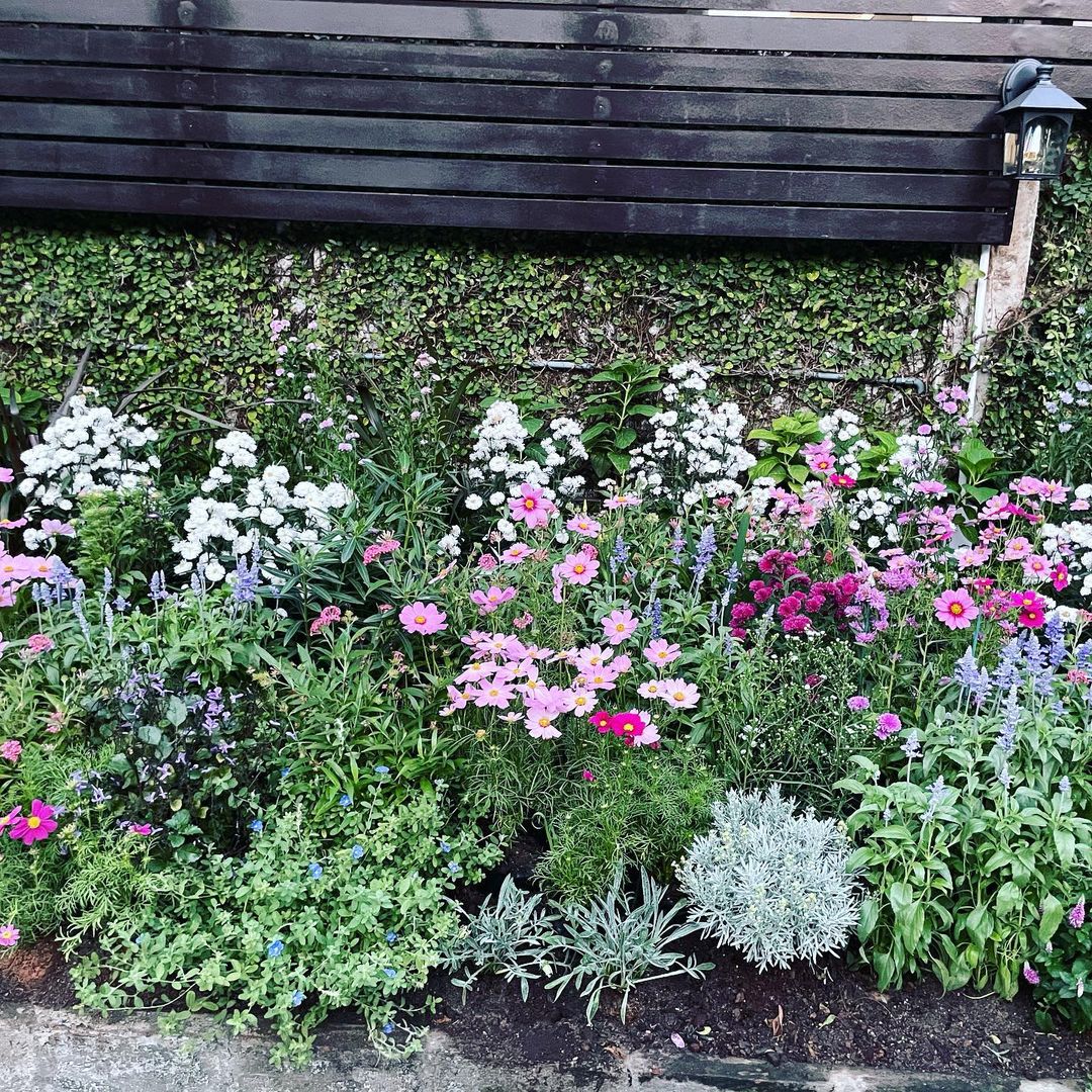 อายุ 60 แล้วไง "ต่าย เพ็ญพักตร์" จัดสวนในบ้านใหม่ให้สดใส ครบทุกดอก อวดทุกสี