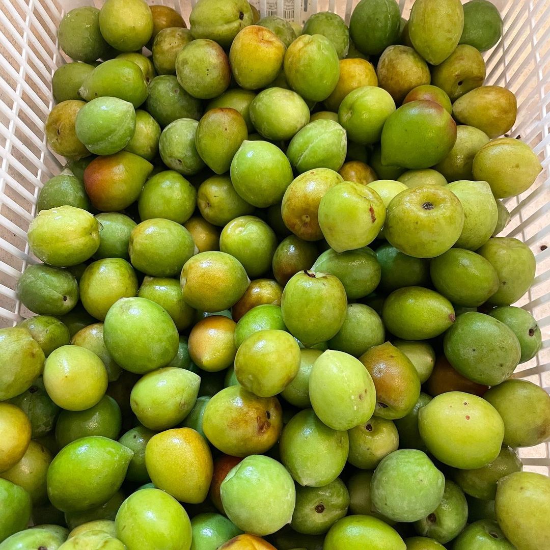 ชีวิตอีกมุมของ "กระเต็น วราภรณ์" ผู้ประกาศข่าว ที่สนใจเรื่องปลูกผัก ดองบ๊วย ทำกิมจิ