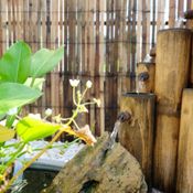 แบ่งปันไอเดีย “จัดสวนหินข้างบ้านด้วยตัวเอง” รื้อสวนเก่าสุดโทรมเปลี่ยนโฉมเป็นสวนสวยกลิ่นอายญี่ปุ่น