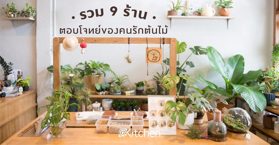 รวม 9 ร้านต้นไม้น่าไป ตอบโจทย์คนรักต้นไม้แต่งบ้าน