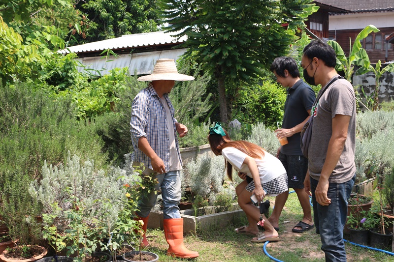 หนุ่มเมืองสองแควประยุกต์บ้านเก่าของบรรพบุรุษเปิดเป็นสวนผักคาเฟ่ สำหรับคนรักธรรมชาติ