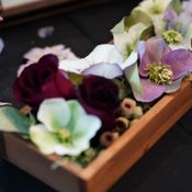 เทคนิคการทำดอกไม้แห้งให้สวยและคงสีสันตามธรรมชาติจากคนญี่ปุ่น