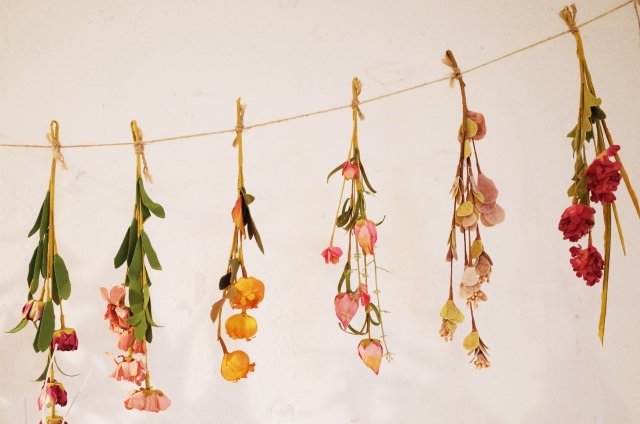 เทคนิคการทำดอกไม้แห้งให้สวยและคงสีสันตามธรรมชาติจากคนญี่ปุ่น