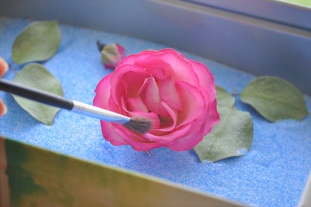 เทคนิคการทำดอกไม้แห้งให้สวยและคงสีสันตามธรรมชาติจากคนญี่ปุ่น