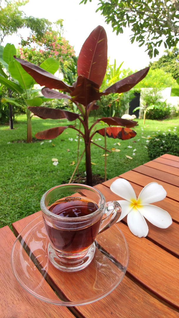 สาวโพสต์ภาพนั่งดริปกาแฟในสวน "กล้วยด่าง" แบบนี้เรียกว่าสวย และรวยมาก