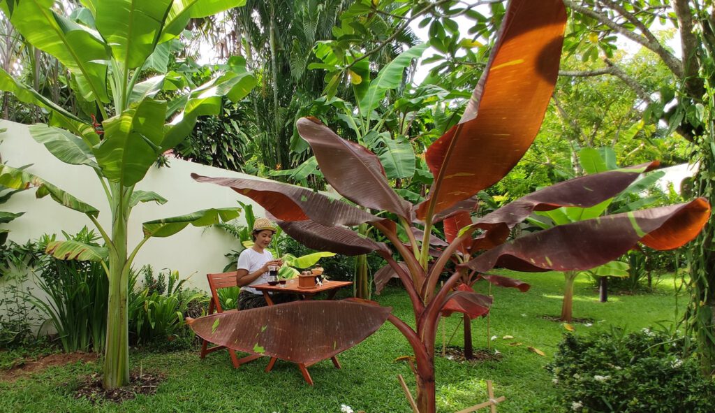 สาวโพสต์ภาพนั่งดริปกาแฟในสวน "กล้วยด่าง" แบบนี้เรียกว่าสวย และรวยมาก
