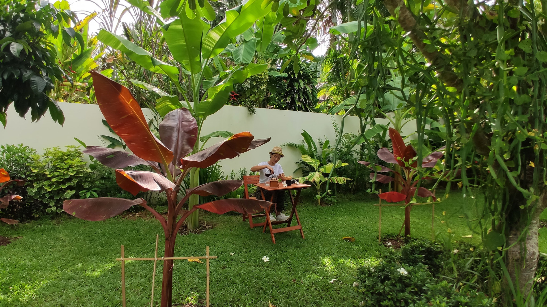 สาวโพสต์ภาพนั่งดริปกาแฟในสวน "กล้วยด่าง" แบบนี้เรียกว่าสวย และรวยมาก