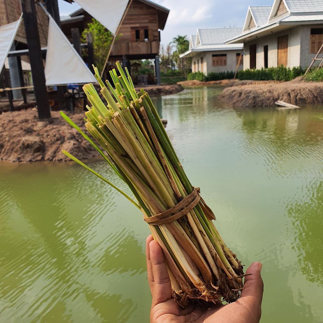 "ครูลิลลี่" สร้างอาณาจักรย่านรังสิต รวมสถานที่ปฏิบัติธรรม พิพิธภัณฑ์ และร้านอาหารไว้ที่เดียวกัน