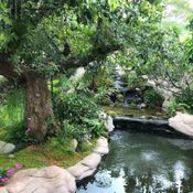 เปิด “สวนญี่ปุ่น” เรือนหอยุ้ย จีรนันท์ – ธัญญ์ ธนากร ร่มรื่น อลังการดั่งผืนป่า
