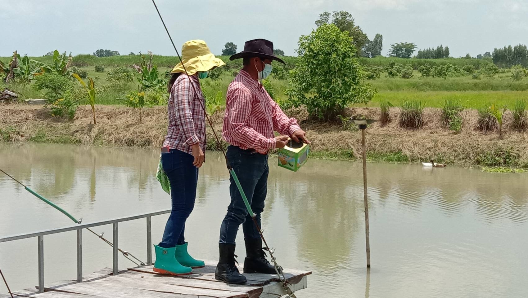 ทหารเรือเปลี่ยนพื้นที่หลังบ้าน 2 ไร่ ปลูกผักสวนครัว เปิดเพลงเลี้ยงไก่ นำผลผลิตแบ่งเพื่อนบ้านสู้โควิด