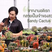 Sandy Cactus สวนกระบองเพชร ที่มีจุดเริ่มต้นมาจากงานอดิเรก