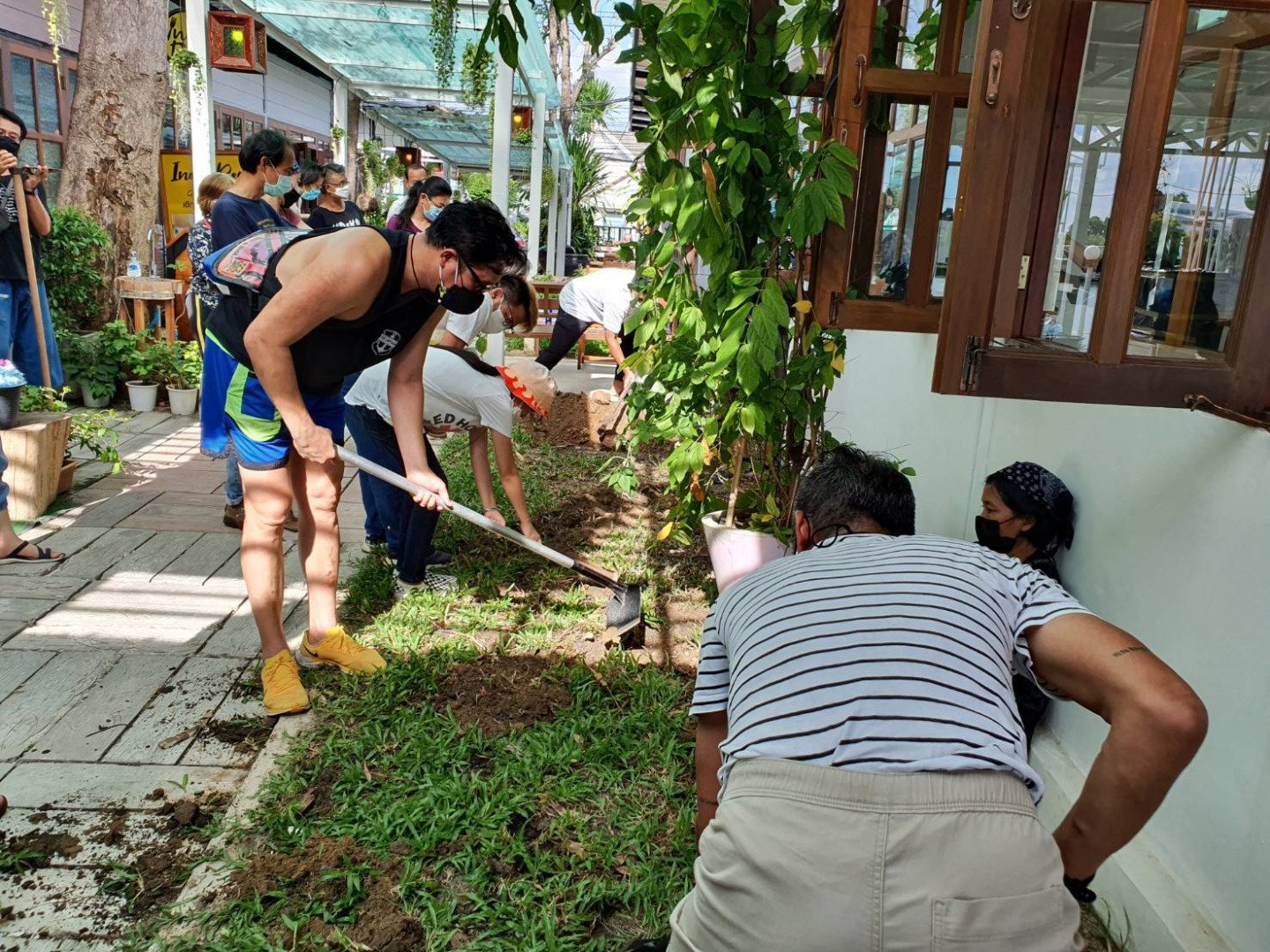 ดีไซน์เพื่อคนเมือง โคก หนอง นา ฉบับมินิ พื้นที่น้อยๆ ไม่เกิน 100 ตรวา ก็ทำได้