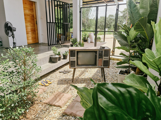 บ้านสไตล์ลอฟต์กลางป่าหลังนี้ของเราไม่เคยเหงา