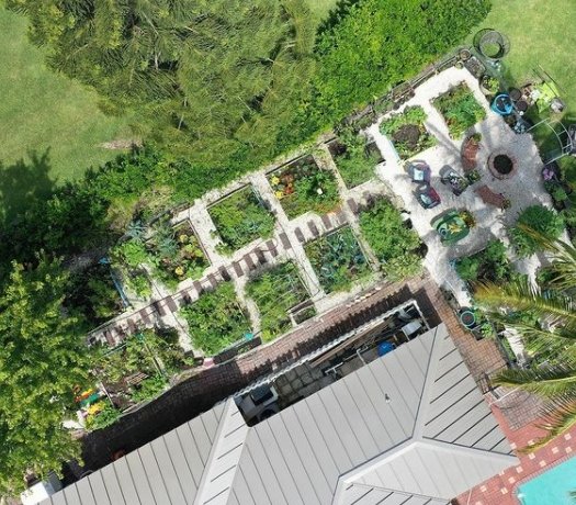 ชมสวนผักที่ฟลอริด้า ของยูทูบเบอร์สาว "จ๋า Jayycrane" ที่มีผู้ติดตามกว่า 1 ล้านคน