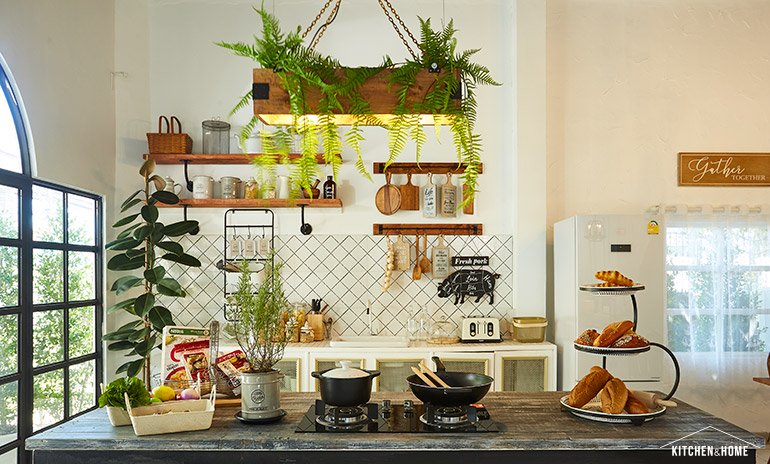 DNA Studio บ้านสีขาวในสวนสีเขียว