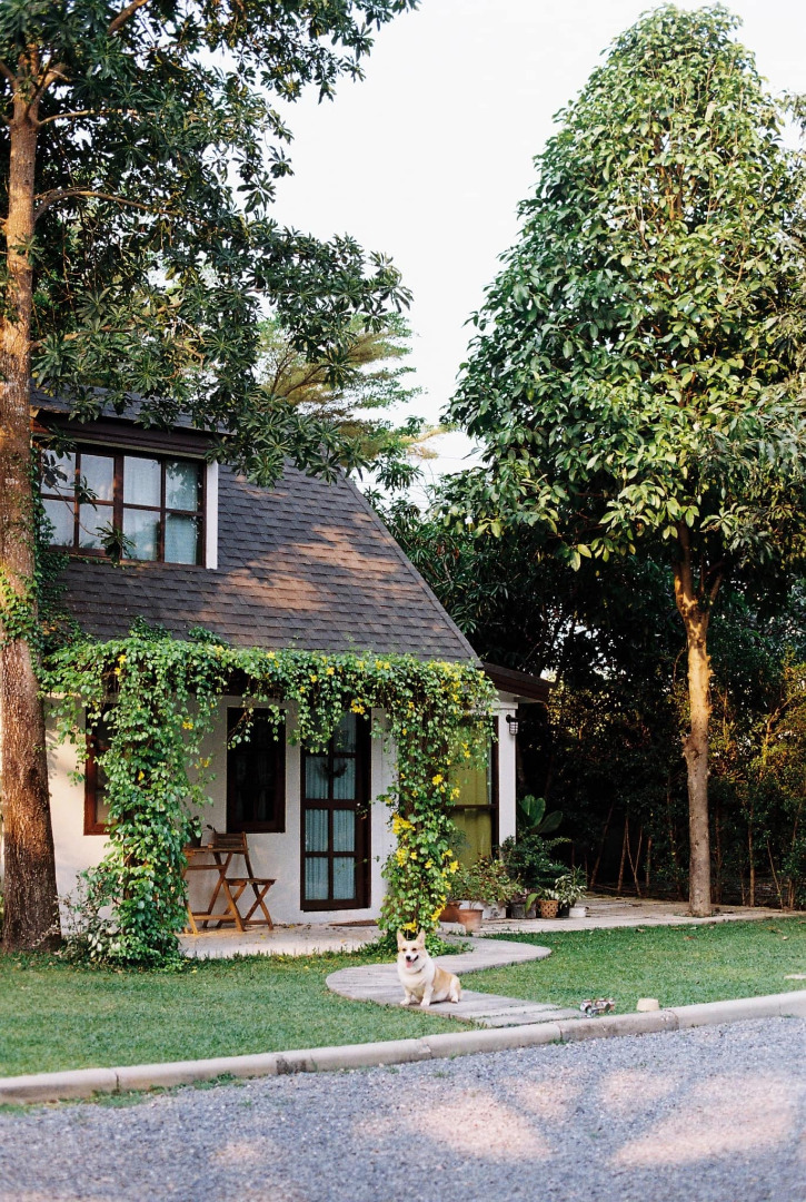 “บ้านพระจันทร์” บ้านสวนแนวยุโรป รีโนเวทเป็นบ้านพักในจังหวัดน่าน