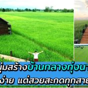 ชมภาพ “บ้านกลางทุ่งนา” ค่อย ๆ สร้างเองทีละน้อย จนได้บ้านสวยท่ามกลางธรรมชาติ