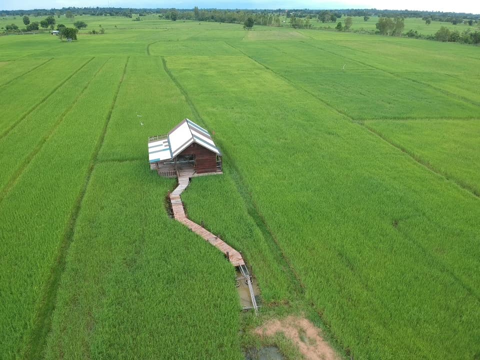 ชมภาพ “บ้านกลางทุ่งนา” ค่อย ๆ สร้างเองทีละน้อย จนได้บ้านสวยท่ามกลางธรรมชาติ