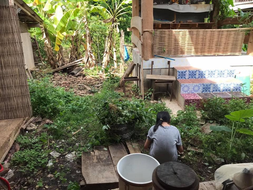 รีวิวจัดสวนหลังบ้าน เปลี่ยนที่รกร้างเป็นมุมจิบกาแฟเก๋ๆ งบไม่ถึง 2 พันบาท