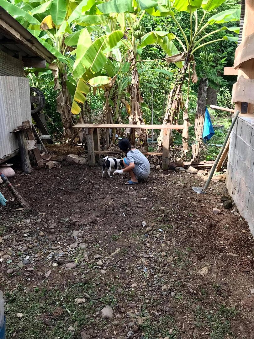 รีวิวจัดสวนหลังบ้าน เปลี่ยนที่รกร้างเป็นมุมจิบกาแฟเก๋ๆ งบไม่ถึง 2 พันบาท