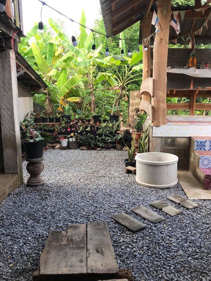 รีวิวจัดสวนหลังบ้าน เปลี่ยนที่รกร้างเป็นมุมจิบกาแฟเก๋ๆ งบไม่ถึง 2 พันบาท