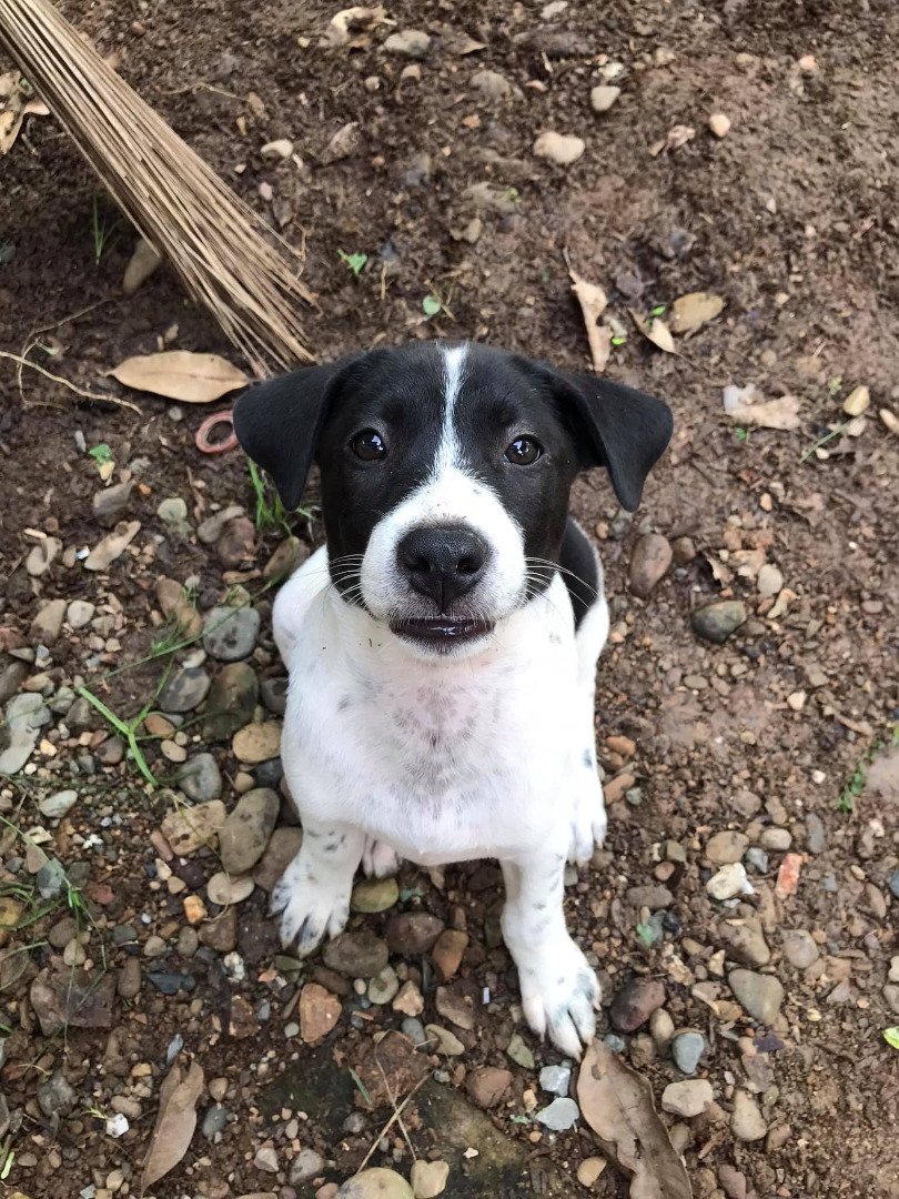 รีวิวจัดสวนหลังบ้าน เปลี่ยนที่รกร้างเป็นมุมจิบกาแฟเก๋ๆ งบไม่ถึง 2 พันบาท