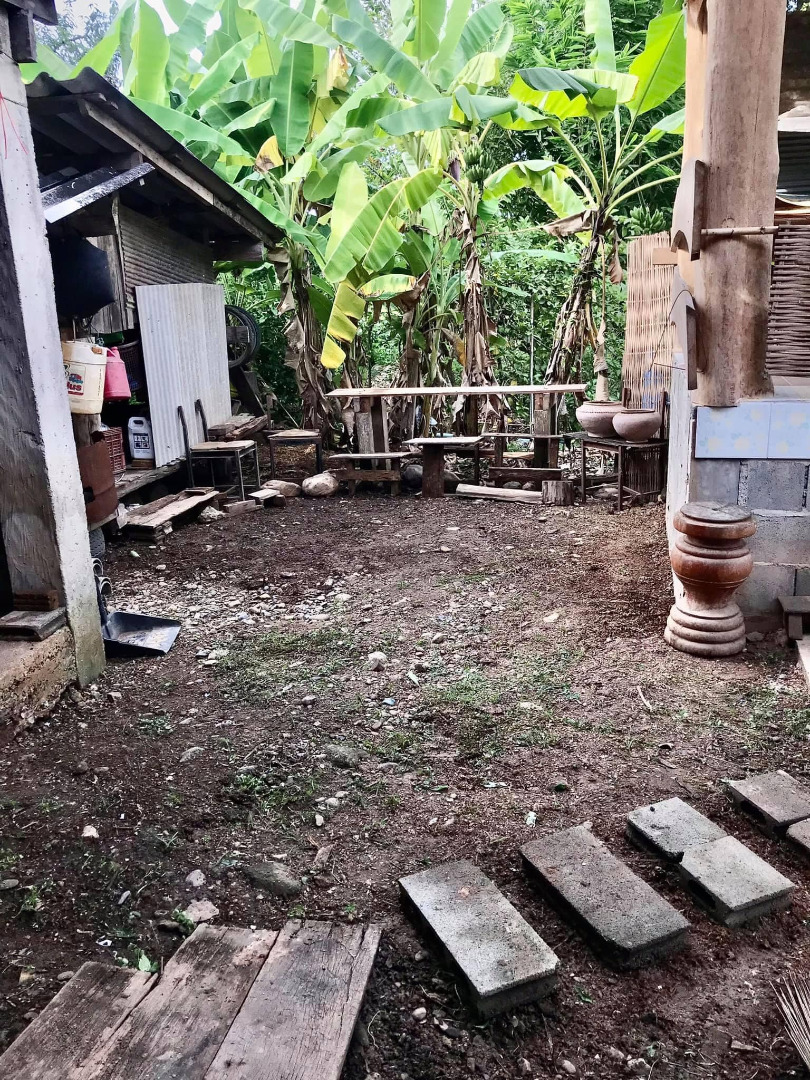 รีวิวจัดสวนหลังบ้าน เปลี่ยนที่รกร้างเป็นมุมจิบกาแฟเก๋ๆ งบไม่ถึง 2 พันบาท