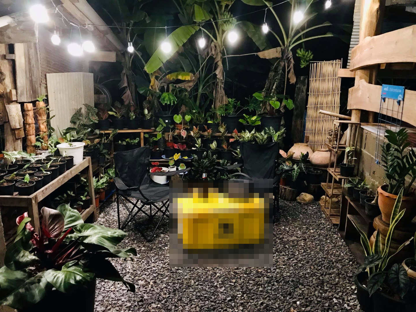 รีวิวจัดสวนหลังบ้าน เปลี่ยนที่รกร้างเป็นมุมจิบกาแฟเก๋ๆ งบไม่ถึง 2 พันบาท