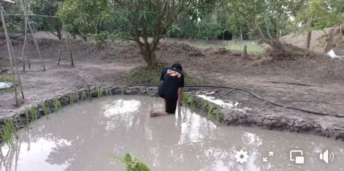 การเกษตรแบบ "เชษฐ์ สไมล์บัฟฟาโล" สุดมุ้งมิ้ง ดำนาเป็นรูปหัวใจ