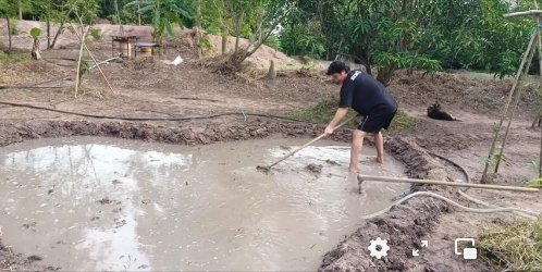 การเกษตรแบบ "เชษฐ์ สไมล์บัฟฟาโล" สุดมุ้งมิ้ง ดำนาเป็นรูปหัวใจ