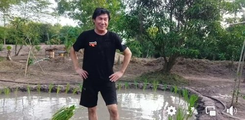 การเกษตรแบบ "เชษฐ์ สไมล์บัฟฟาโล" สุดมุ้งมิ้ง ดำนาเป็นรูปหัวใจ