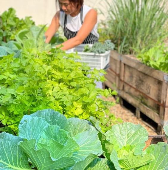 ปลูกผักแบบได้ข้อคิด "กระเต็น วราภรณ์" สอนตัวเองด้วยการปลูกผัก