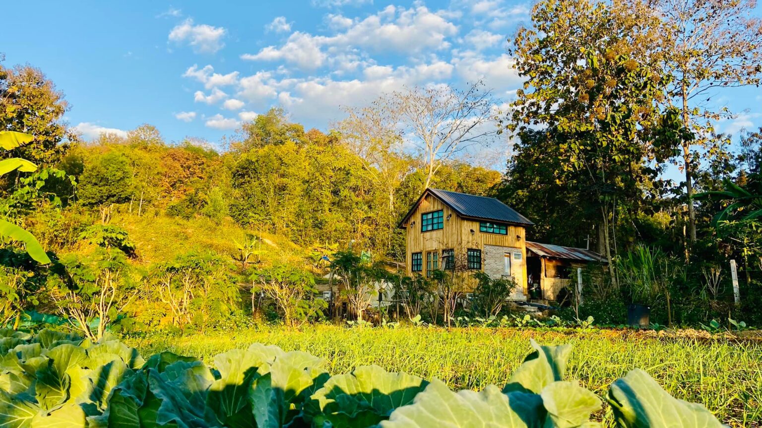 หนุ่มโชว์ผลงานสร้างบ้านไม้เอง ทำร่วมกับทีมช่างท้องถิ่นทำ 2 เดือน ใช้งบไป 4 แสน