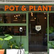Pot  Plant คาเฟ่ต้นไม้ฟอกอากาศที่ขายทั้งต้นไม้และเสิร์ฟน้ำเก๋ๆ บนถนนนราธิวาส