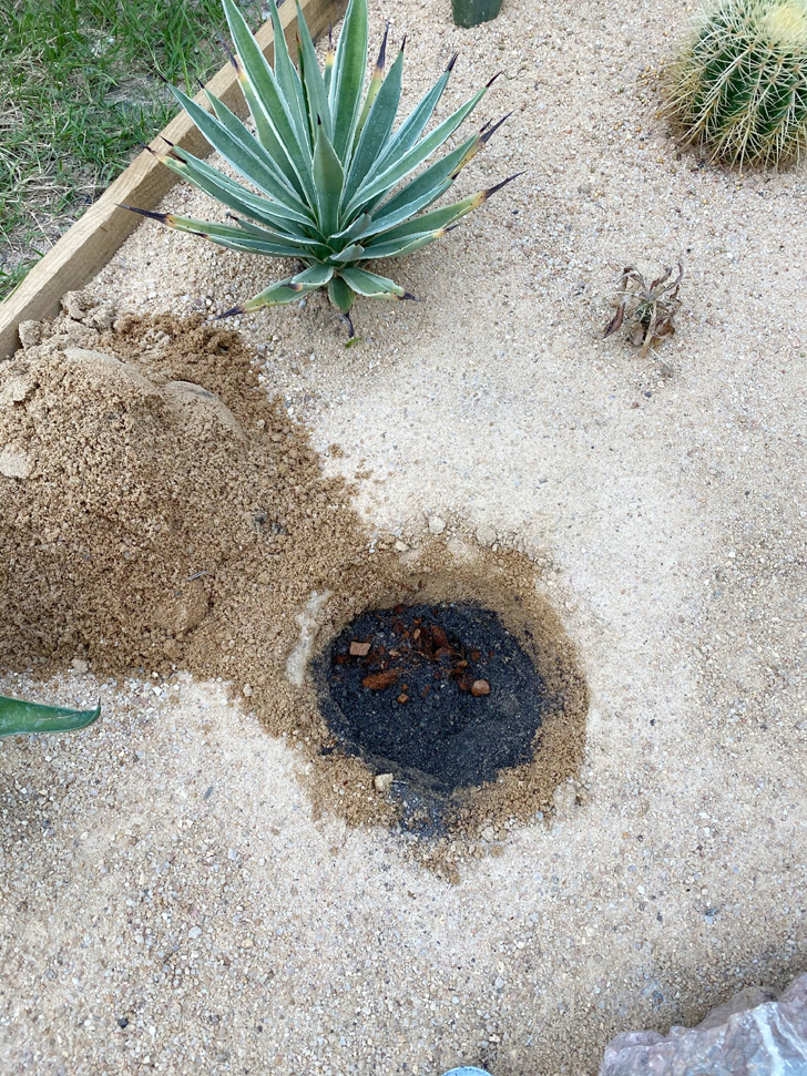 แชร์ประสบการณ์รื้อหน้าบ้านทำสวนทะเลทราย จัดสวนง่าย ดูแลง่าย ไม่ต้องรดน้ำบ่อย ๆ