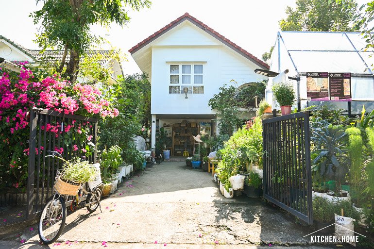 ปูเป้ “ปลูก”เอง สวนสวยในบ้านที่เน้นปลูกผักสวนครัวไว้กินเอง