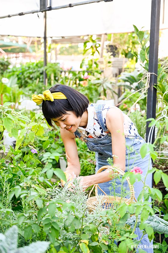 ปูเป้ “ปลูก”เอง สวนสวยในบ้านที่เน้นปลูกผักสวนครัวไว้กินเอง