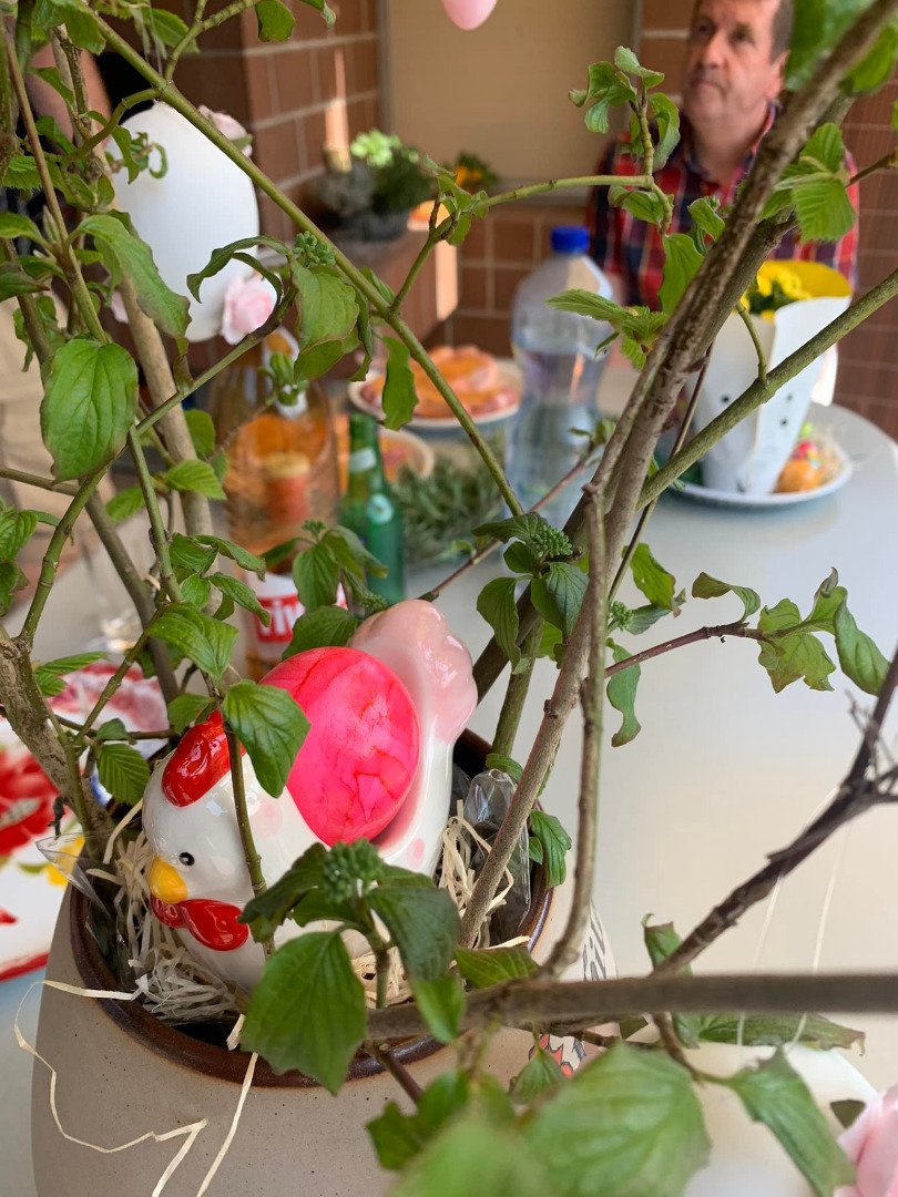ชมบ้านสาวไทยที่สวิตเซอร์แลนด์ มีสวนดอกไม้สดใสในช่วงเทศกาลอีสเตอร์