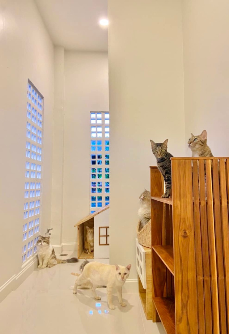 บ้านมินิมอลตกแต่งน่ารัก หลังเล็กๆ ของคู่รัก ด้วยงบไม่เยอะ มีความเป็นญี่ปุ่นเบาๆ