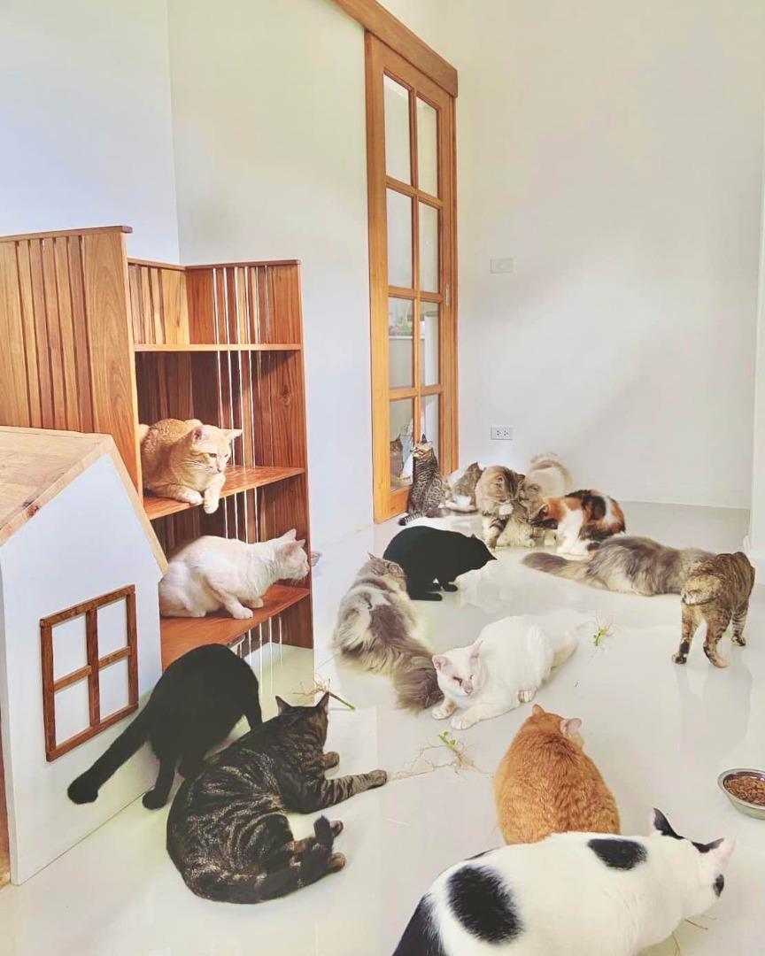 บ้านมินิมอลตกแต่งน่ารัก หลังเล็กๆ ของคู่รัก ด้วยงบไม่เยอะ มีความเป็นญี่ปุ่นเบาๆ