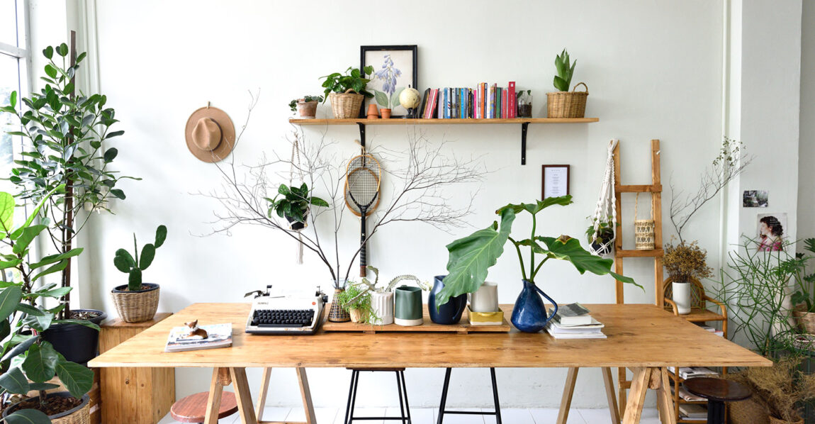 รวมไอเดียปลูกต้นไม้ในบ้าน และมุมสวนสวยเติมความสดชื่นให้กับบ้าน