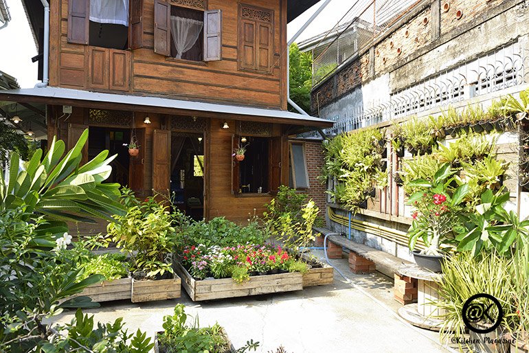 รวมไอเดียปลูกต้นไม้ในบ้าน และมุมสวนสวยเติมความสดชื่นให้กับบ้าน