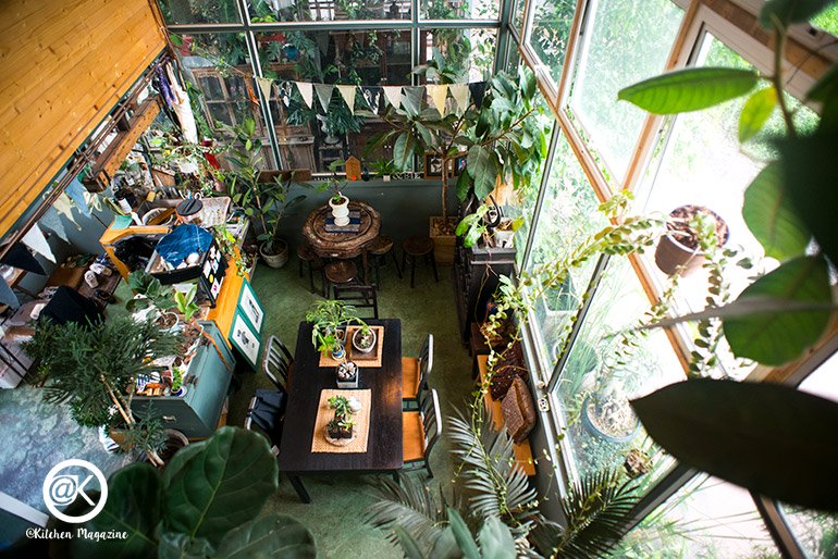 รวมไอเดียปลูกต้นไม้ในบ้าน และมุมสวนสวยเติมความสดชื่นให้กับบ้าน