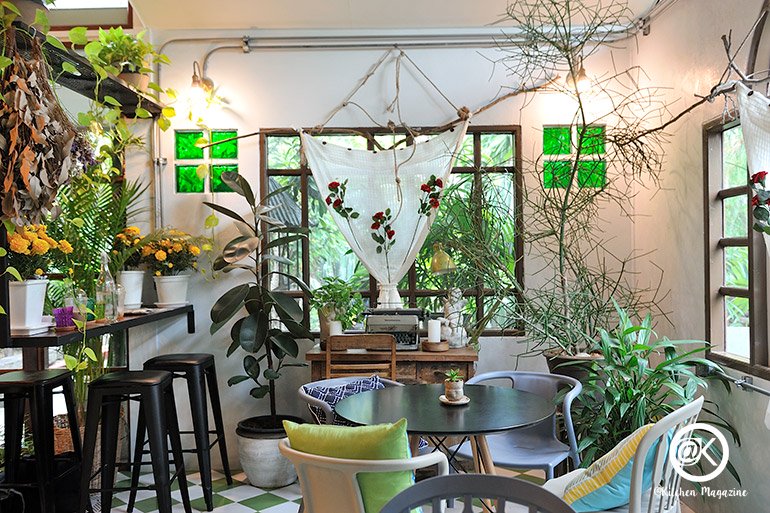 รวมไอเดียปลูกต้นไม้ในบ้าน และมุมสวนสวยเติมความสดชื่นให้กับบ้าน