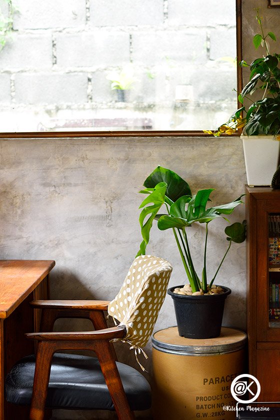 รวมไอเดียปลูกต้นไม้ในบ้าน และมุมสวนสวยเติมความสดชื่นให้กับบ้าน