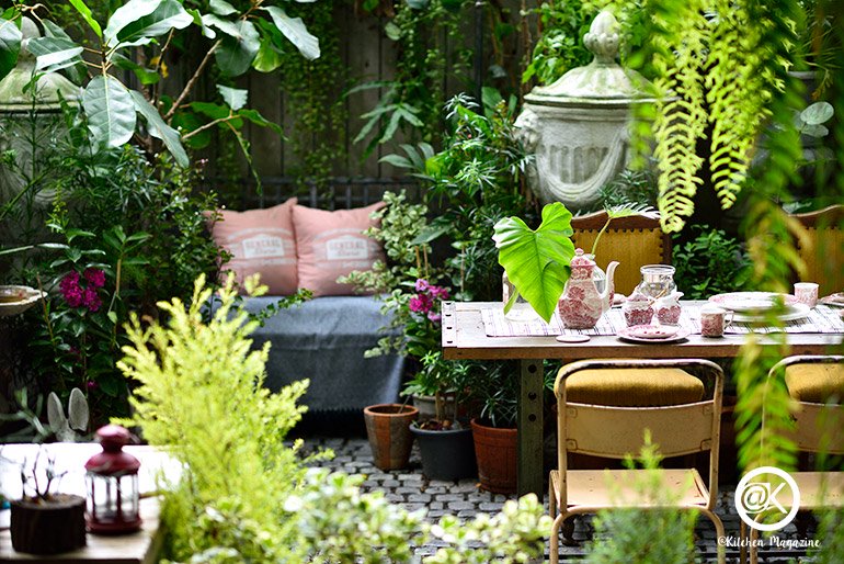 รวมไอเดียปลูกต้นไม้ในบ้าน และมุมสวนสวยเติมความสดชื่นให้กับบ้าน