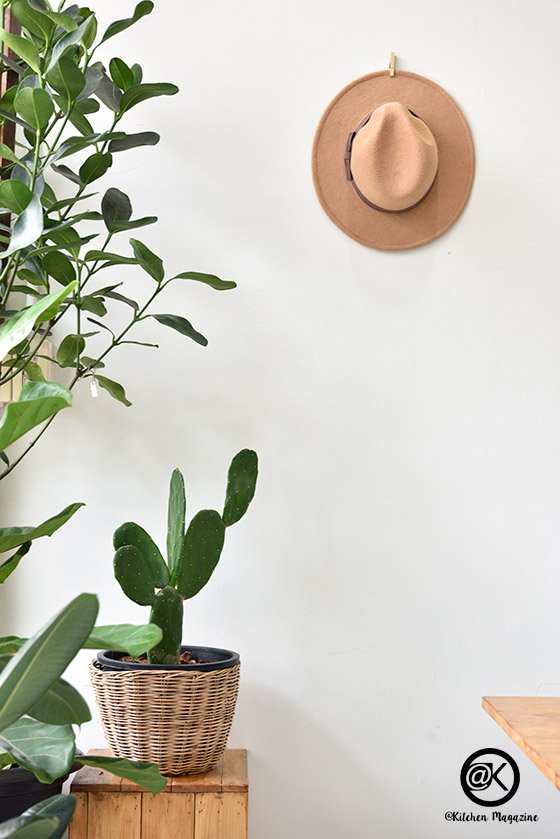 รวมไอเดียปลูกต้นไม้ในบ้าน และมุมสวนสวยเติมความสดชื่นให้กับบ้าน