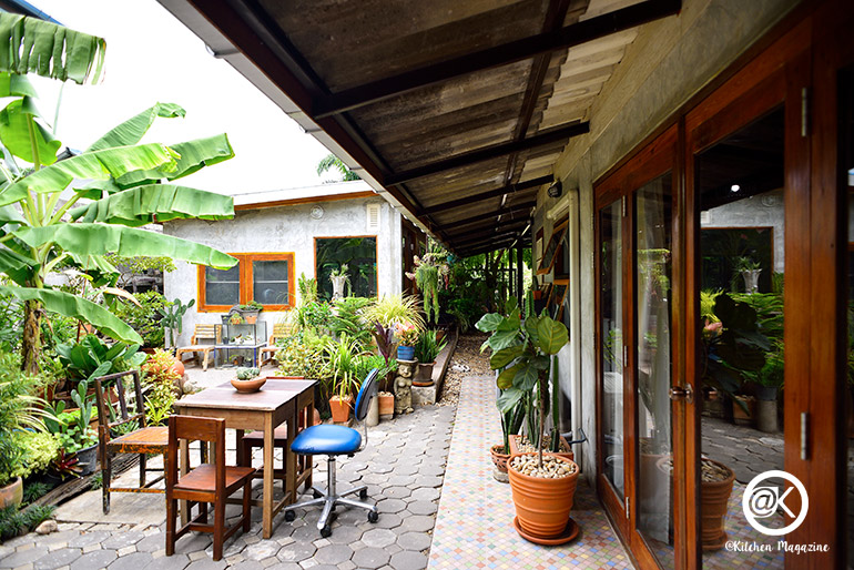 รวมไอเดียปลูกต้นไม้ในบ้าน และมุมสวนสวยเติมความสดชื่นให้กับบ้าน