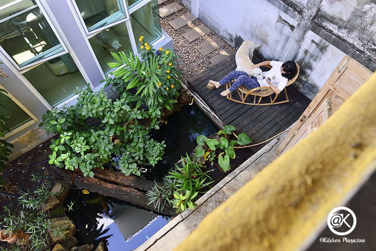 รวมไอเดียปลูกต้นไม้ในบ้าน และมุมสวนสวยเติมความสดชื่นให้กับบ้าน